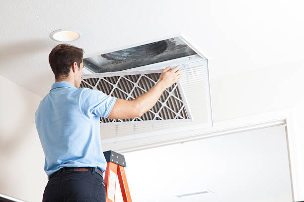 Best Air Filters and Purifiers in Lochearn, MD
